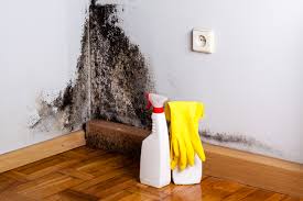 Why You Should Choose Our Mold Remediation Services in Grantley, PA